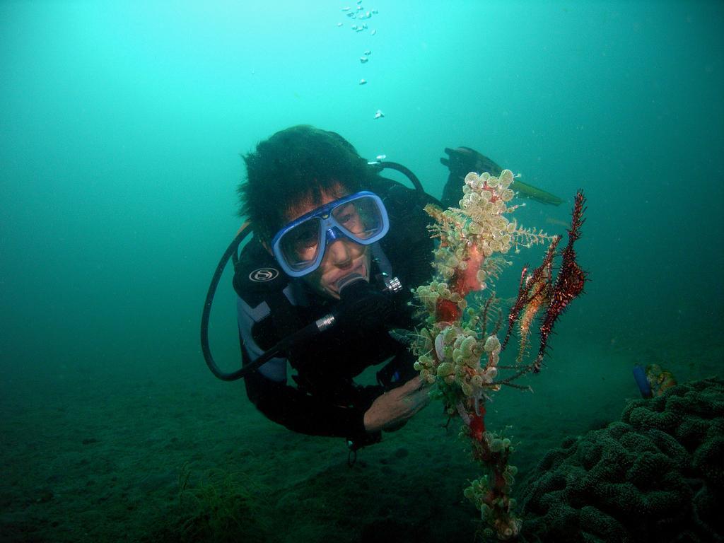 Camiguin Volcan Beach Eco Retreat & Dive Resort Mambajao Exterior photo