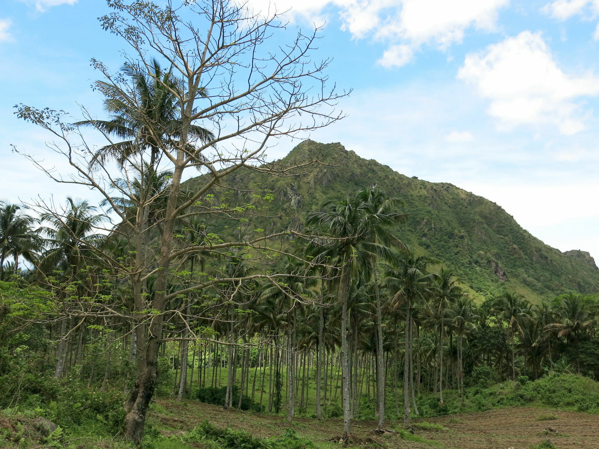 Camiguin Volcan Beach Eco Retreat & Dive Resort Mambajao Exterior photo